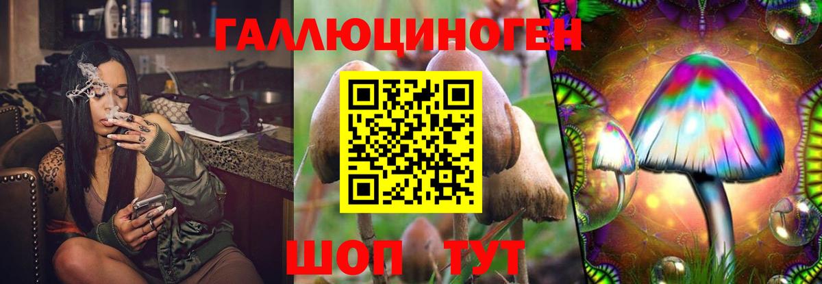 Псилоцибиновые грибы мухоморы  Вход с VPN  Псилоцибиновые грибы Cubensis  Ставрополь 