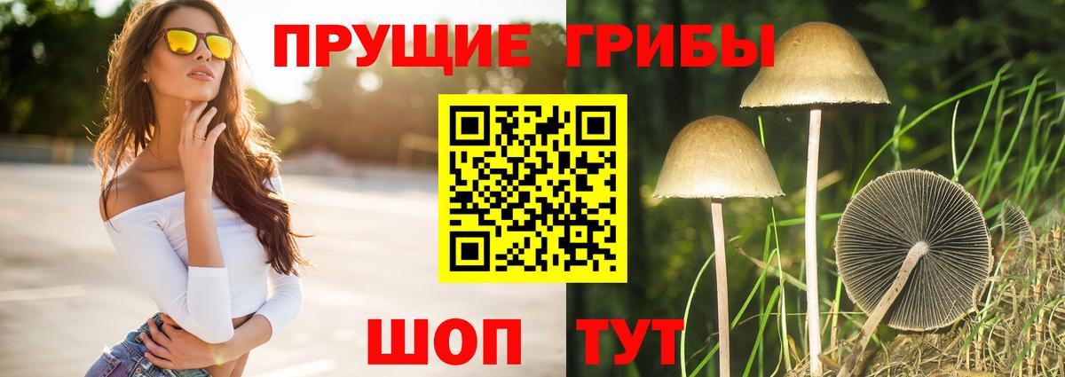 Галлюциногенные грибы Magic Shrooms Ставрополь
